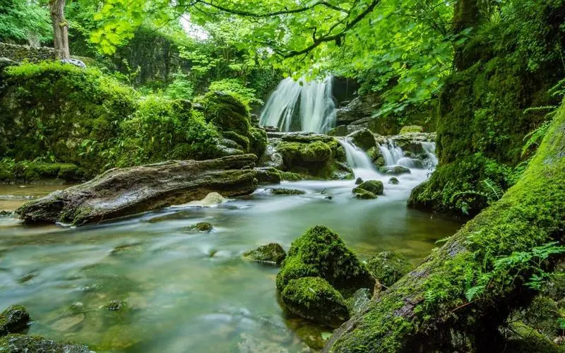高端智能系统智能